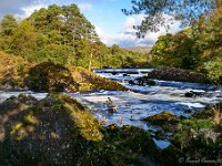 20170927 1090  Sheen Falls : Ierland 2017