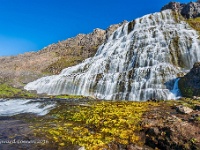 20160805 0178 : IJsland