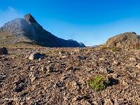 20160806 0005  Vestfirdir Westfjorden : IJsland