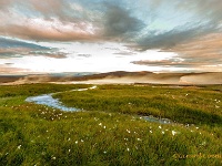 20160806 0058  Hveravellir geothermisch gebied : IJsland