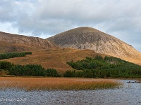 20141002 0058  Blein na Caillich : Schotland