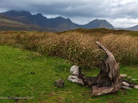 20141002 0074  Black Cuillins Bla'Bheinn Clash Glas : Schotland