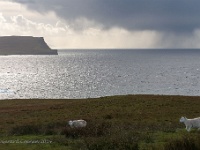 20141003 0037  Omgeving Neist Point