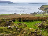 20141003 0137  Omgeving Neist Point : Schotland