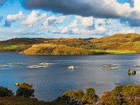 20141004 0173  Zalmkwekerijen Loch harport : Schotland