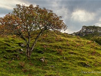 20141005 0073  Fairy Glen : Schotland