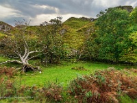 20141005 0080  Fairy Glen : Schotland