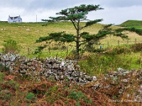 20141006 0120  Duntulm Erisco : Schotland