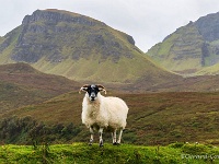 20141006 0169  Quiraing : Schotland