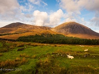 20141008 0080  Beinn na Caillich : Schotland