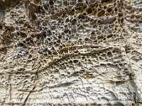 20141008 0183  Elgol : Schotland