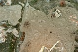 20130306_0219