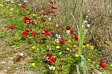 20130303_1108
