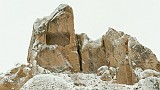 20130305_0876