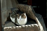 20130306_0411