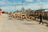20130307_0170