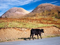 20120922 0309  Torrin and Red Cuillins : Schotland