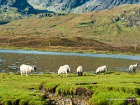 20120922 0315  Loch Slapin : Schotland