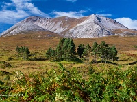 20130930 0018  Ben Eighe near Torridon