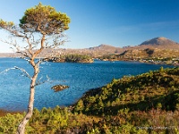 20131001 0059  Panorama over Shieldaig Bay