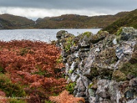 20131004 0036  Loch Poll