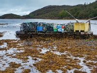 20131004 0076  Loch Nedd