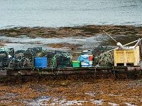 20131004 0082  Loch Nedd