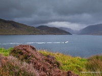 20131004 0132  Loch Gleann Dubh Unapool