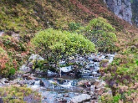 20131004 0137  Loch nà Gainmlich