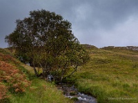 20131004 0171  Waterfall at Loch Assynt