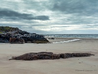 20131005 0120-HDR  Polin Beach