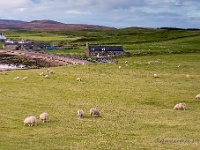 20131005 0154  Landscape near Durness