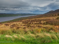 20131007 0031  Struie Hill Dornoch Firth