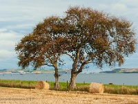 20131007 0057  Cromarty Bay