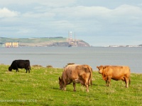 20131007 0058  Cromarty Bay