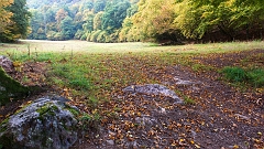 Ardennen herfst 2015