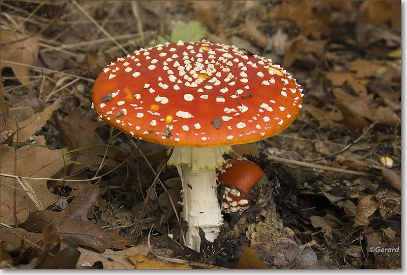 sized_20081012_04.JPG
