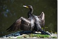 sized_20081012_01
