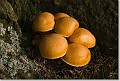 sized_20081012_03