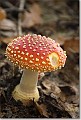 sized_20081012_06