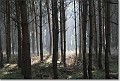 sized_20081012_10