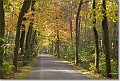 sized_20081012_14