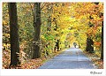 sized_20091025_0110
