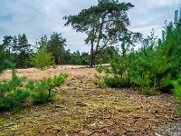 20200909 0008-Pano : Belgie, Beverbeekse Heide, Hamont-Achel, Plaatsen