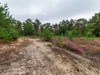 20200909 0088-HDR : Belgie, Beverbeekse Heide, Hamont-Achel, Plaatsen