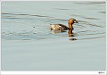 20110327_0015