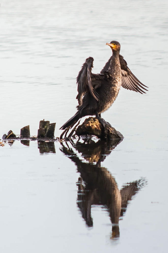 20151203_0212.JPG - Zijne maat.