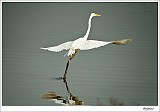 20120403_0069