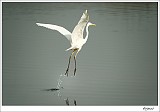 20120403_0070