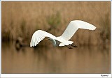 20120403_0075